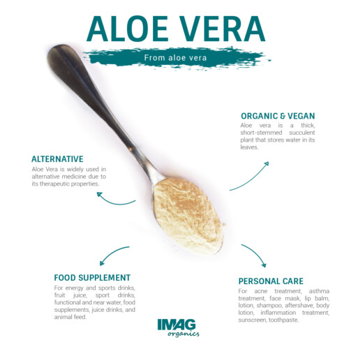1-2 Taste IMAG Organics - Aloe Vera Powder 200X shown on a spoon with benefits for alternative medicine, organic & vegan status, food supplements, and personal care applications